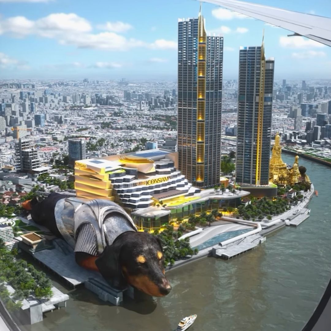 Senko Instagram Post